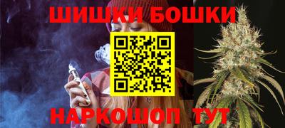 трава Сланцы