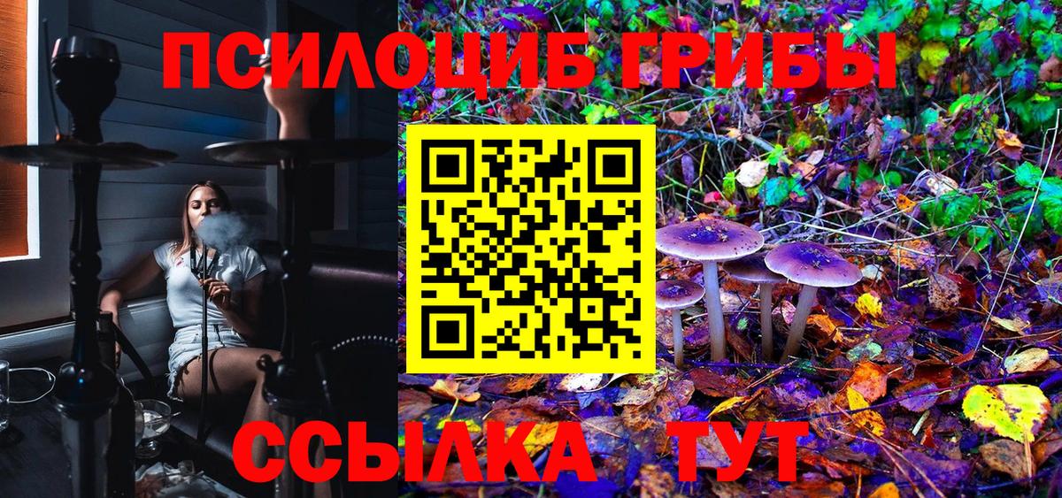 Нижний Новгород  Псилоцибиновые грибы Cubensis  Вход с VPN 